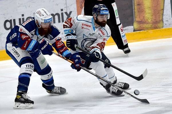 Omikron kosí extraligu! Bílí Tygři oloupili Kometu