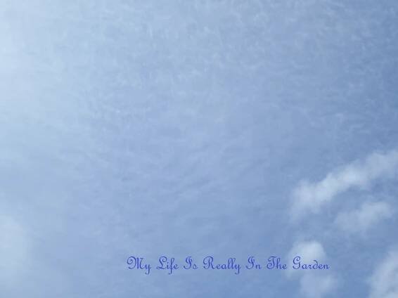 October | 2014 | My Garden – Mon Jardin – Mi Jardin – Mein Garten - Daily Adventures & Thoughts