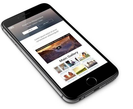 Wordpress Theme Design & Development | PointClix