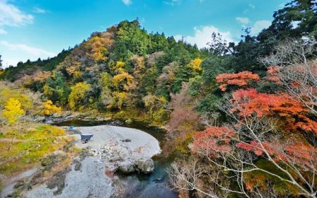 5 Autumn Day Trips from Tokyo - GaijinPot