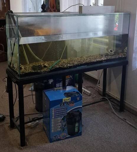 AKVÁRIUM 300l + příslušenství včetně Filtru TETRA EX 1200 Plus - Zvířata