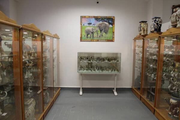 Muzeum Slonů foto 4
