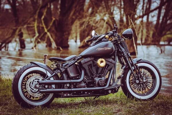 Thunderbike Black Widow - H-D Cross Bones FLSTSB Softail Springer Bobber FLSTSB Twin-Cam 