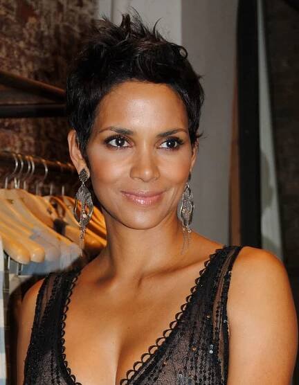 Soubor:Halle Berry 10.jpg