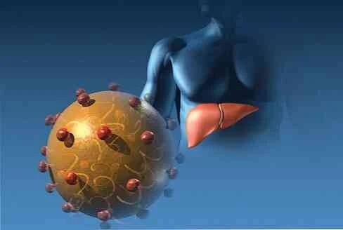 Příznaky virové hepatitidy B a C, příčiny léčby / Venerologie
