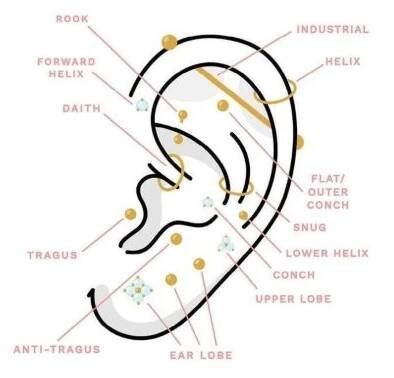 Obrázek ucha s možnými typy piercingu