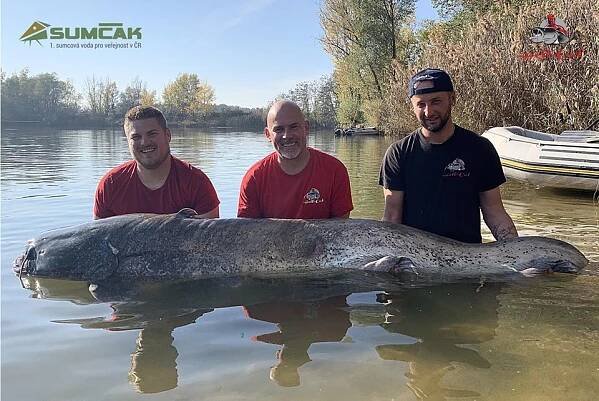 Parádní zakončení sezony / 250+ | SUMČÁK - Lov sumců na 1. sumcové vodě pro veřejnost v ČR