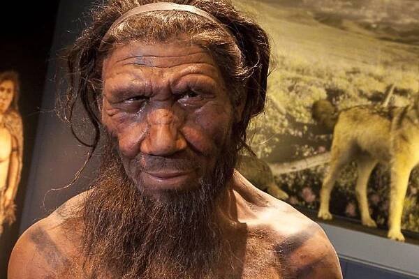Foto: Natural History Museum London