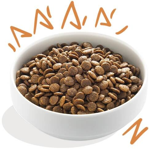 Product - Dog Adult Kibble Chicken