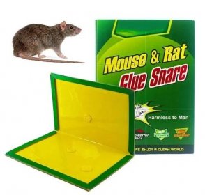 Plan Life past proti myším a potkanům - Odborné knihy