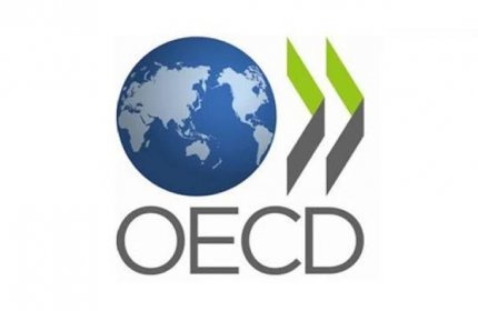 OECD Science Technology and Industry Scoreboard 2013