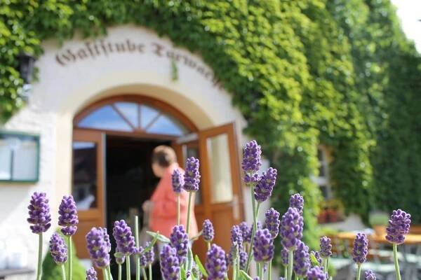 Schlosshotel Klaffenbach Chemnitz  Exteriér fotografie