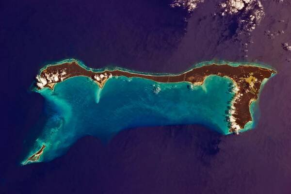 Cat Island