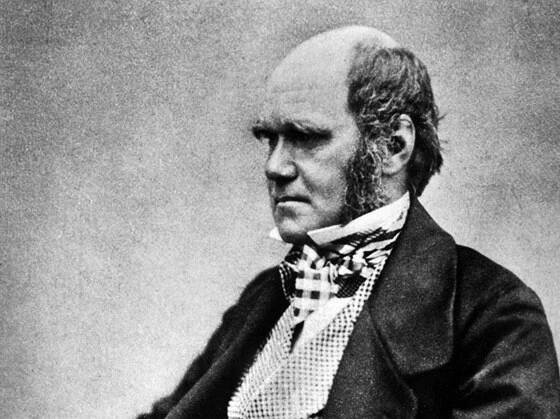 Fotogalerie: Charles Robert Darwin (12. února 1809 – 19. dubna 1882), britský přírodovědec a...