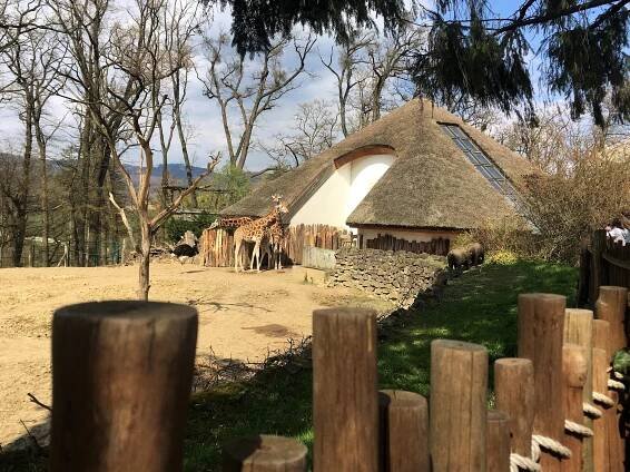 ZOO Zlín druhá nejnavštěvovanější v ČR | Hana Machalová - Cestujte chytře, levně a často