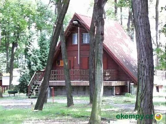 Kemp Obora Veltrusy, Veltrusy 