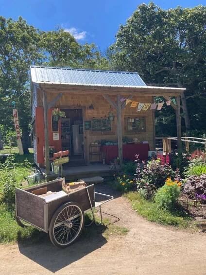 farm stand at north tabor farm chilmark