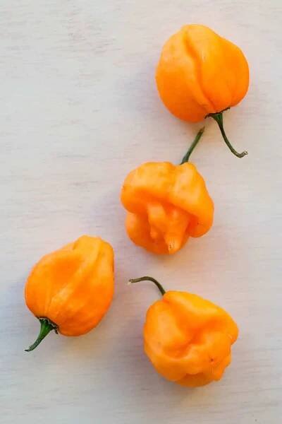 Habanero peppers