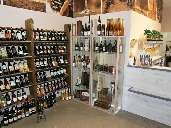 Vinotéka u Zlatého hroznu | Vinařství Vajbar