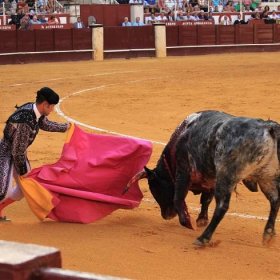 Španělsko: země býků i pestré kuchyně | Foodys