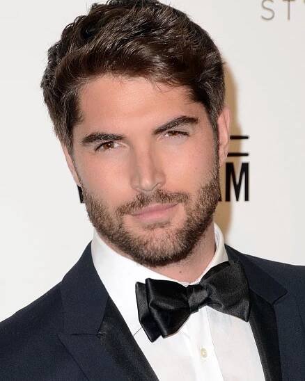 a man in a tuxedo with a beard and bow tie looking at the camera
