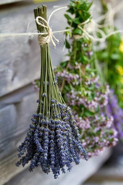12 Ways to Use Lavender Around The Home & Garden