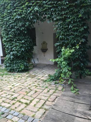 Zahrada ubytování Chalupa Vidim