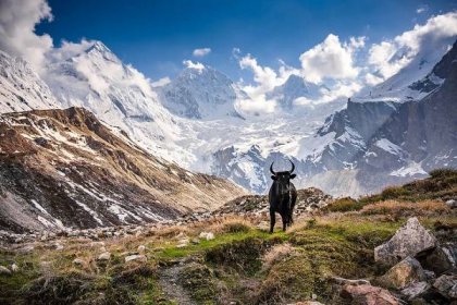 Zamiřte do Himálaje s cestovatelem