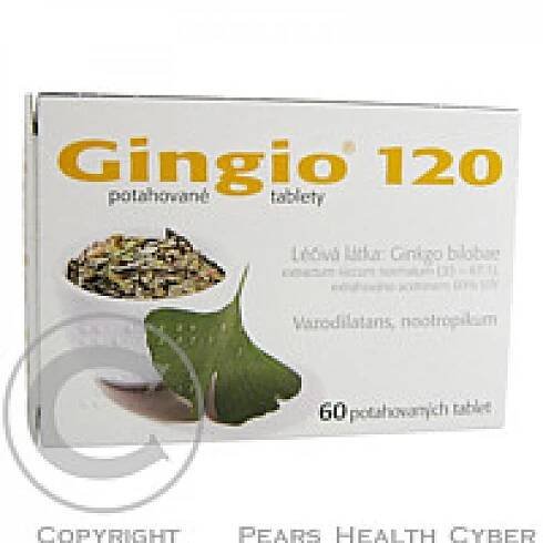 GINGIO POR 120MG TBL FLM 60