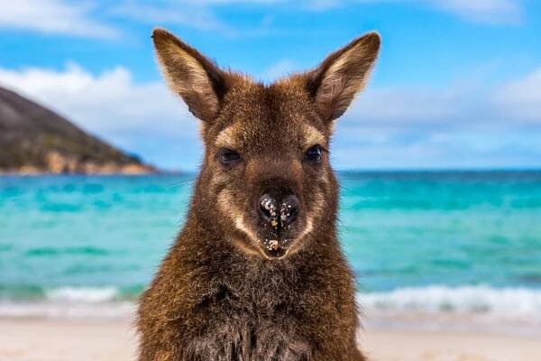 Freycinet Experience Walk