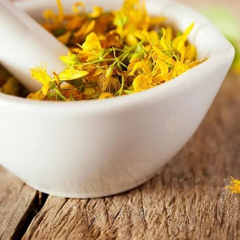 Ein Mörser mit Johanniskraut (Hypericum perforatum) auf einem Tisch