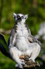 Madagaskar dovolená - informace a rady na cestu