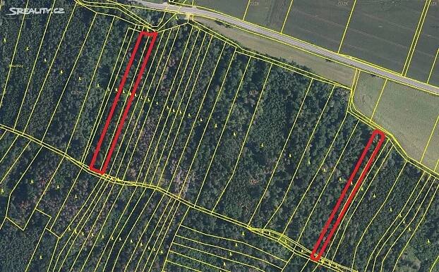 Prodej  lesa 4 899 m², Drásov, okres Brno-venkov