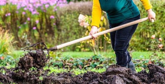 Podzimní hnojení je výživná bomba pro vaši zahradu. Pamatujte si jedno pravidlo