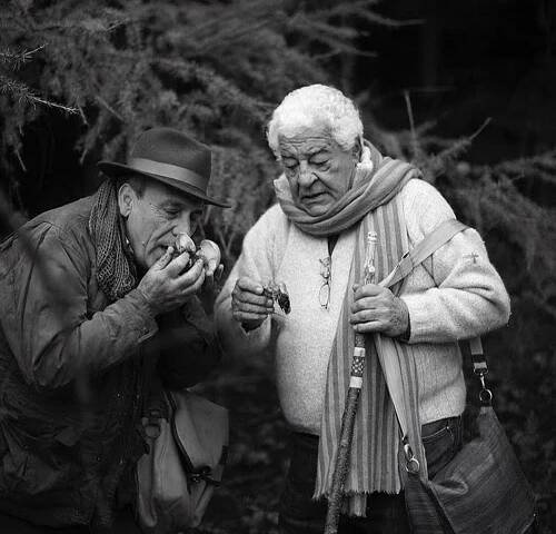 Antonio’s Two Greedy Italians is back on TV every Saturday from May 2023. - Antonio Carluccio Foundation