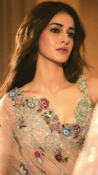 Ananya Panday is a vision to behold in a versatile floral-embellished sheer saree