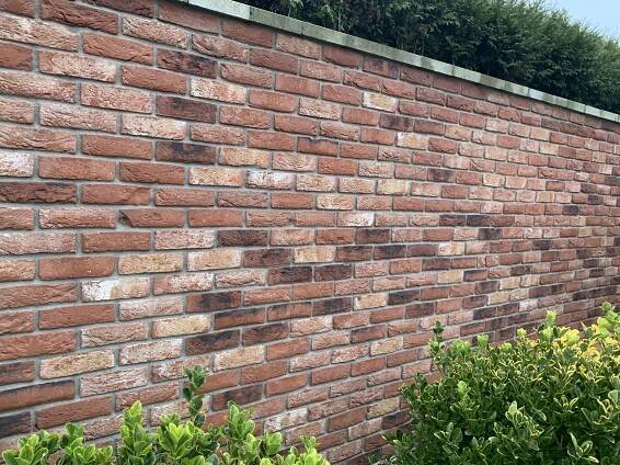 a brick wall is shown with bushes and shrubs in the foreground, along side it