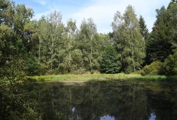 Černoušek, Čerťák a spol. Procházka kolem rybníků u Valchy potěší duši turisty