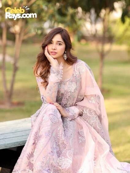 Sabeena Farooq career