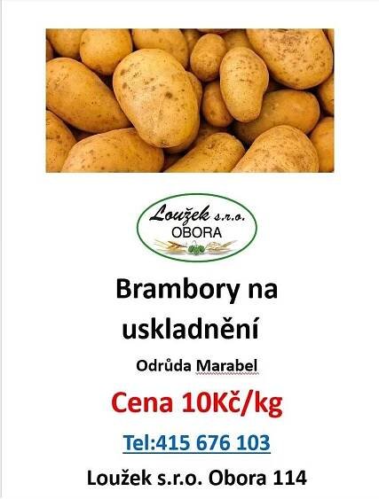 Loužek s.r.o. Obora nabízí k prodeji brambory na uskladnění. Cena: 10 Kč/kg. Odrůda Marabel. Objednávky přijímají na telefonu: 415 676 103