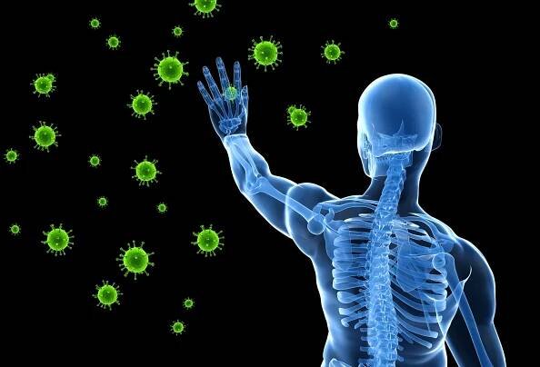 Primary Immunodeficiency