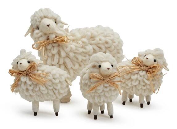 Sheep