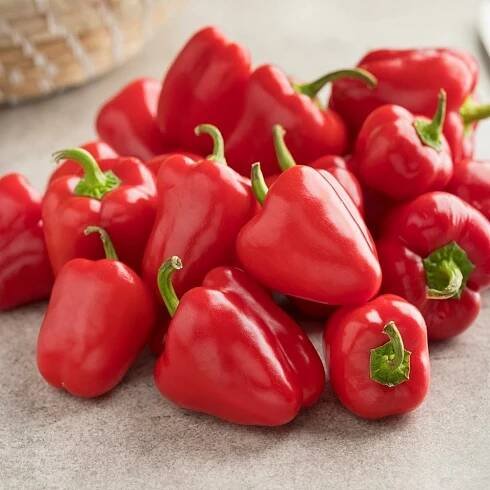 RELA - BABY PAPRIKA