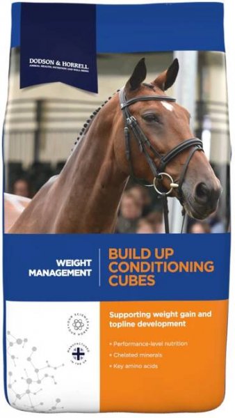 Build Up Conditioning Cubes | Support weight gain | Dodson Horrell