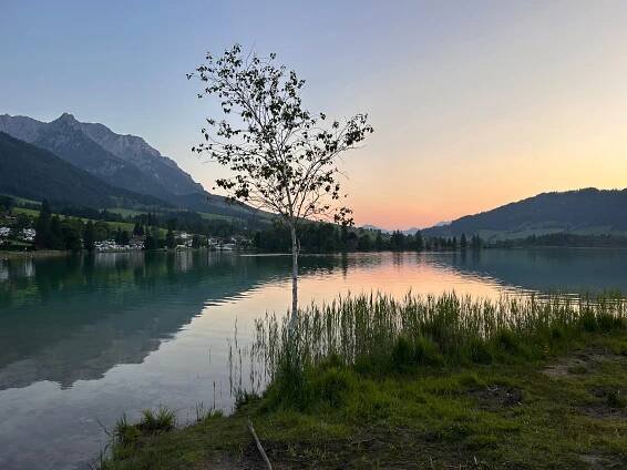 Walchsee (See)