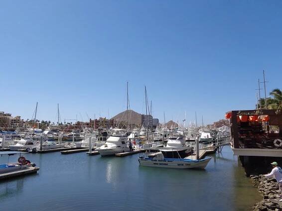 THE 10 BEST San Jose del Cabo Water Sports (2025) - Tripadvisor