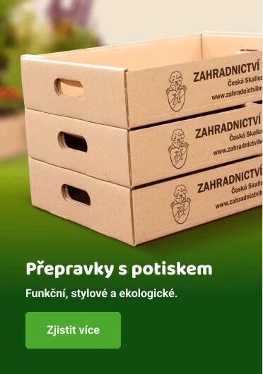 Hrabík