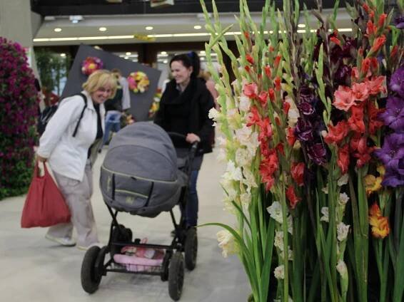 Podzimní Flora nalákala 23 tisíc lidí. Šampionem koštu byla hruškovice
