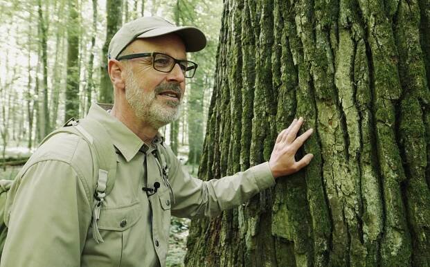 Peter Wohlleben - Tajný život stromů - Z filmu