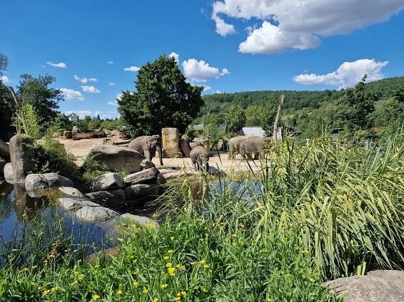 ZOO Praha 2022 – Josef Šalda
